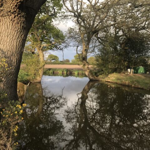 Billies Pond