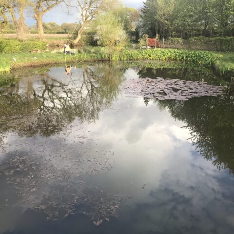Forties Pond
